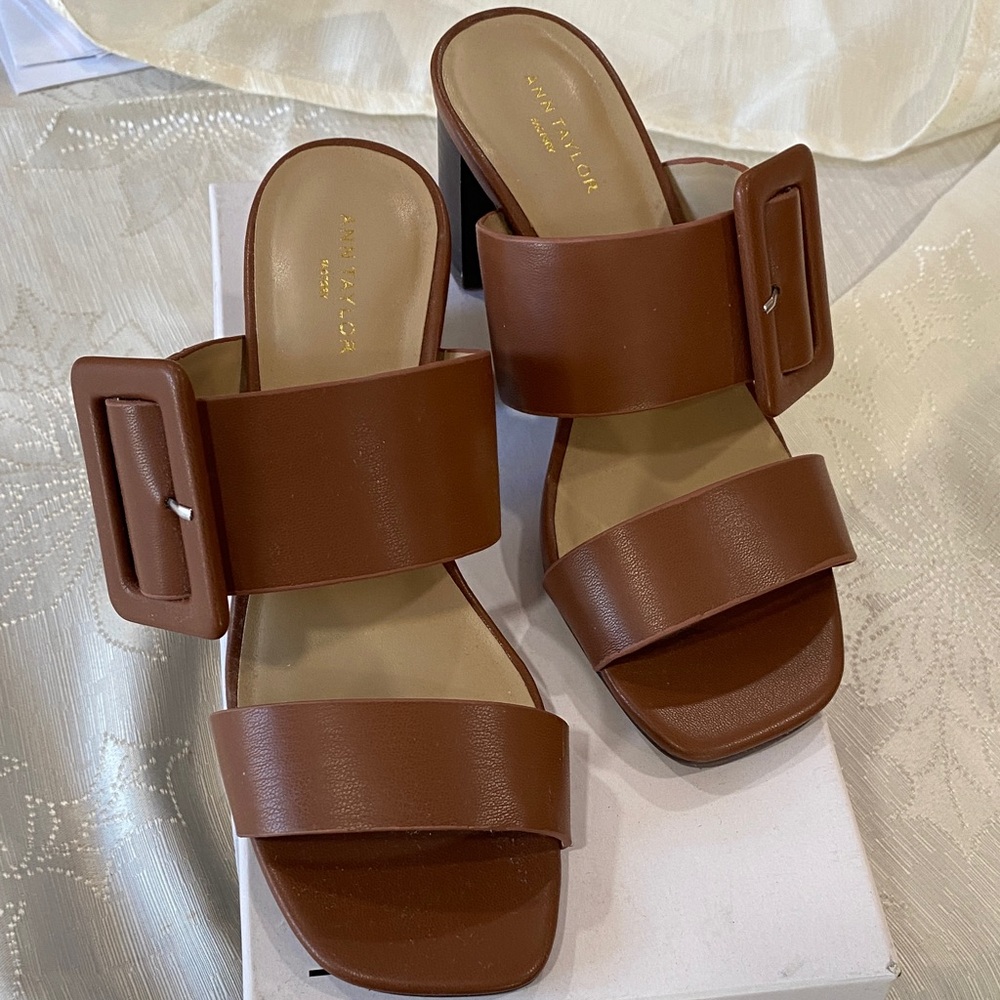 Ann Taylor Factory Brown Mules with Buckle Detail